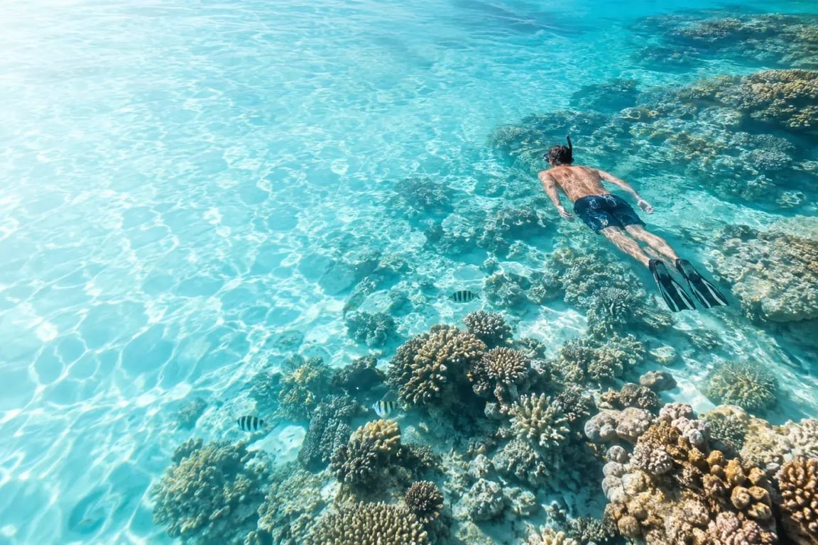 Snorkeling aux îles Seychelles au-dessus d’un récif corallien avec des poissons tropicaux