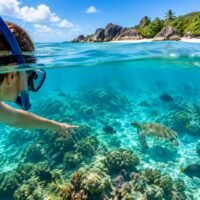 Snorkeling aux Seychelles : 5 spots poissons, tortues & coraux